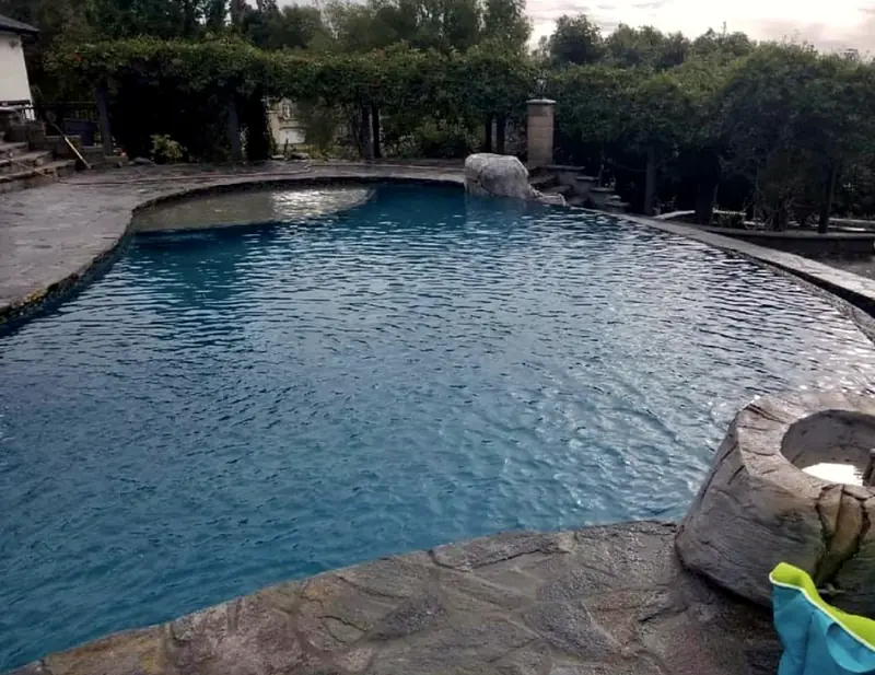 The finished freeform pool with flagstone coping under a vine-covered arbor